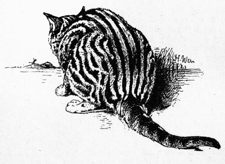 The Old Lady, a tabby cat illustrated in Harrison Weir’s Our Cats and All About Them