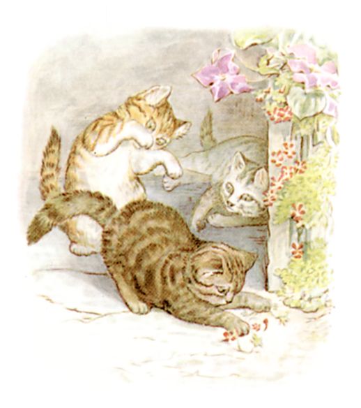 Beatrix Potter illustration of three kittens playing, from The Tale of Tom Kitten
